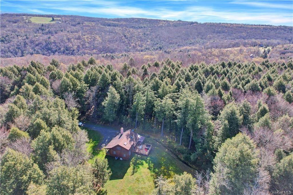 17. Residential for Sale at 49 Trout Town Road Roscoe, New York 12776 United States