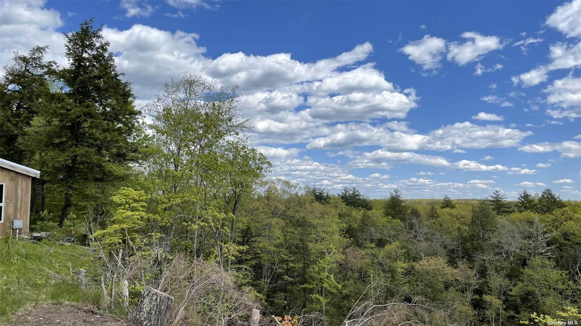 9. Residential for Sale at 45 Charles Hommel Road Saugerties, New York 12477 United States