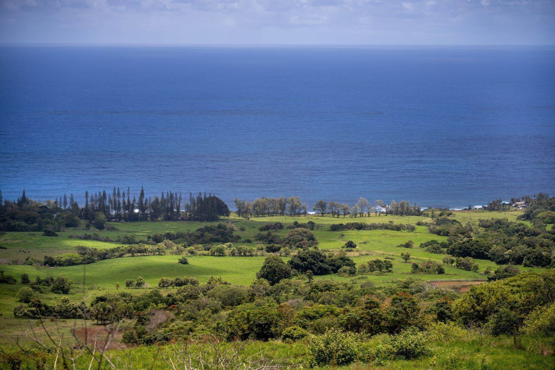 19. Land for Sale at UNMATCHED EXTRAORDINARY OPPORTUNITY Hana Ranch, Maui Hana, Hawaii 96713 United States